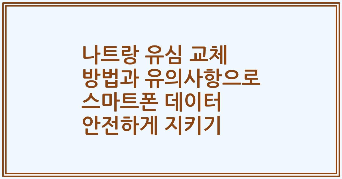 나트랑 유심 교체 방법과 유의사항으로 스마트폰 데이터 안전하게 지키기