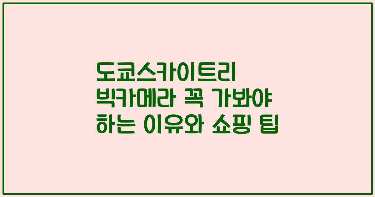도쿄스카이트리 빅카메라 꼭 가봐야 하는 이유와 쇼핑 팁